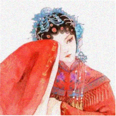 读者苗苗的头像